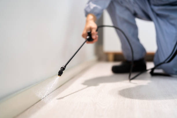Licensed Pest Control service in Ridgefield, NJ - Show Me Pest Control